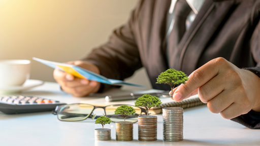 Financieel inzicht online meeting